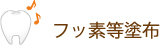 フッ素等塗布